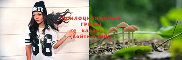 экстази Пересвет